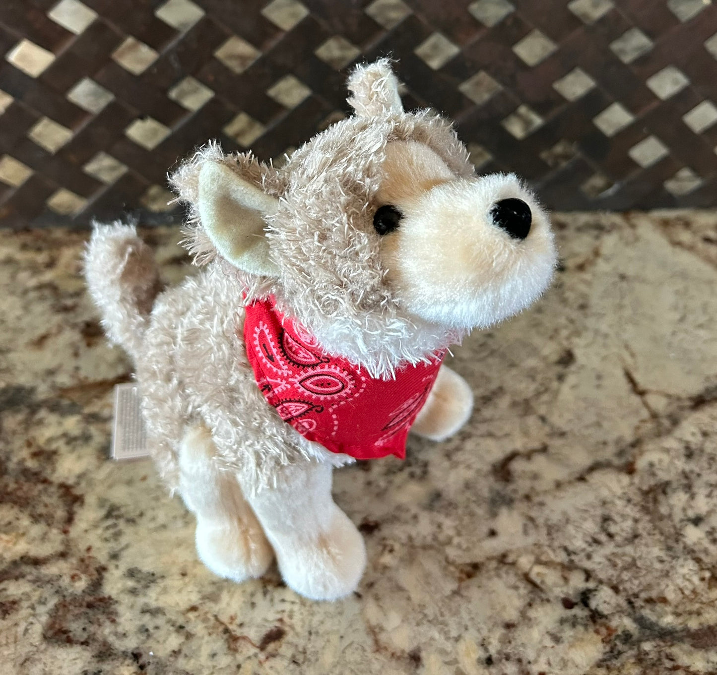 Coyote--stuffed animal (seen in Joshua Tree without the scarf)