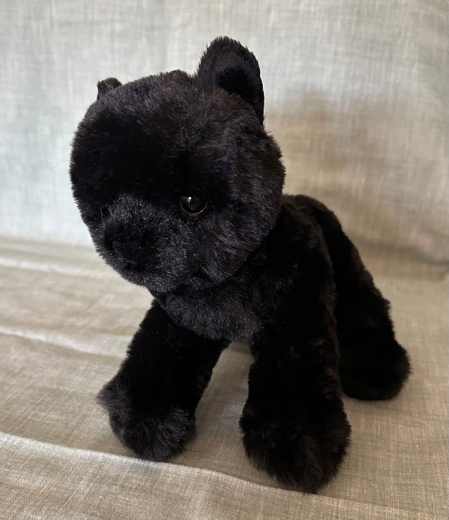 Black Cat Plush (from "Cecil the Too Solid Ghost")