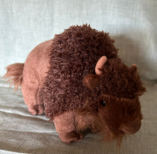 Buffalo found in Tricia Gardella's book Mouse Visits Joshua Tree National Park