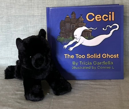 Paperback Cecil the Too Solid Ghost plus black cat plush
